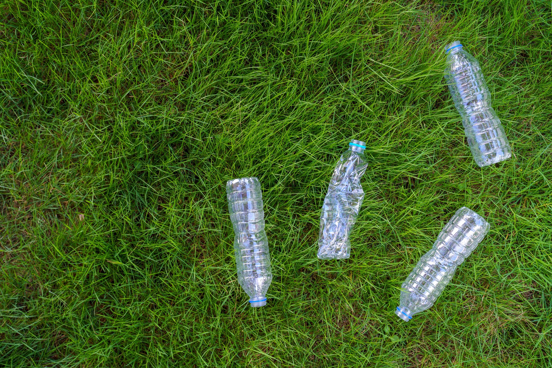 Nahaufnahme von Plastikflaschenrecycling und Müll und Rasen. Plastik Umweltverschmutzung